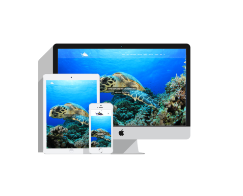 Bali Diving, Web Design, Seo